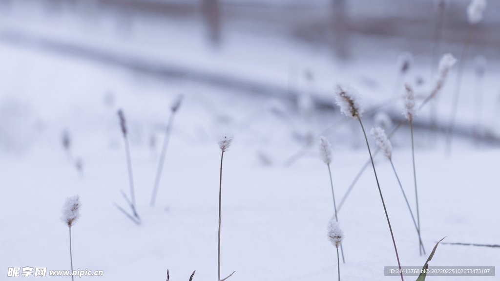 冬日雪景风景 