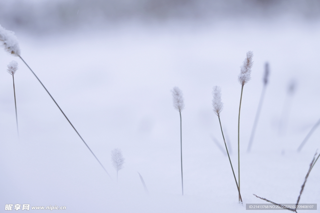 冬日雪景风景 