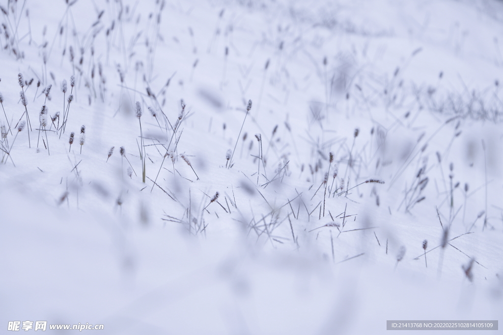 冬日雪景风景