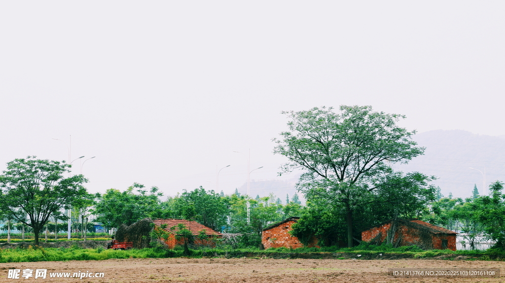 清新自然风景