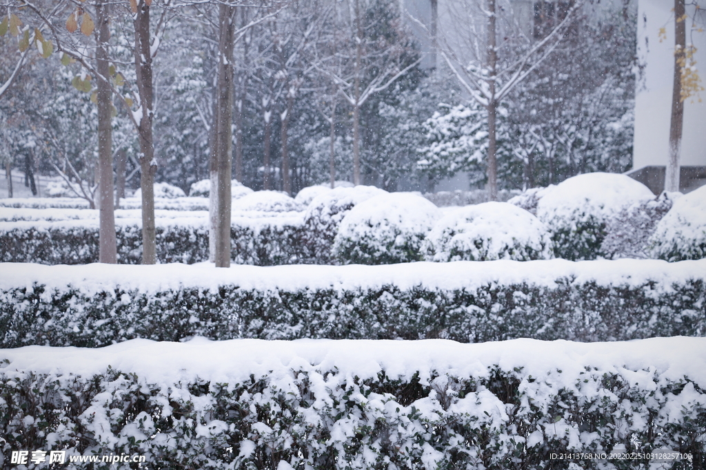 冬日雪景风景 