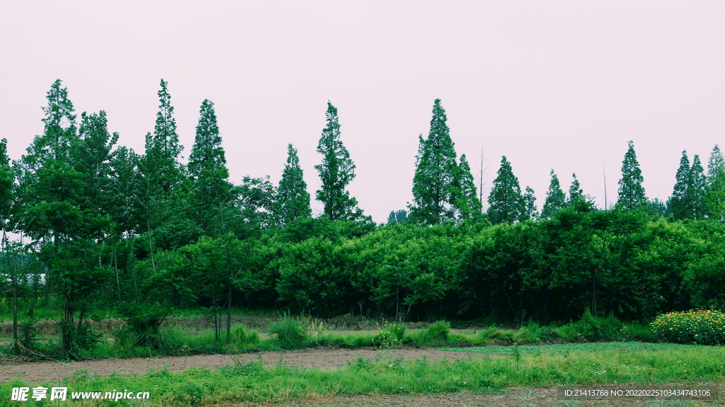 清新自然风景 