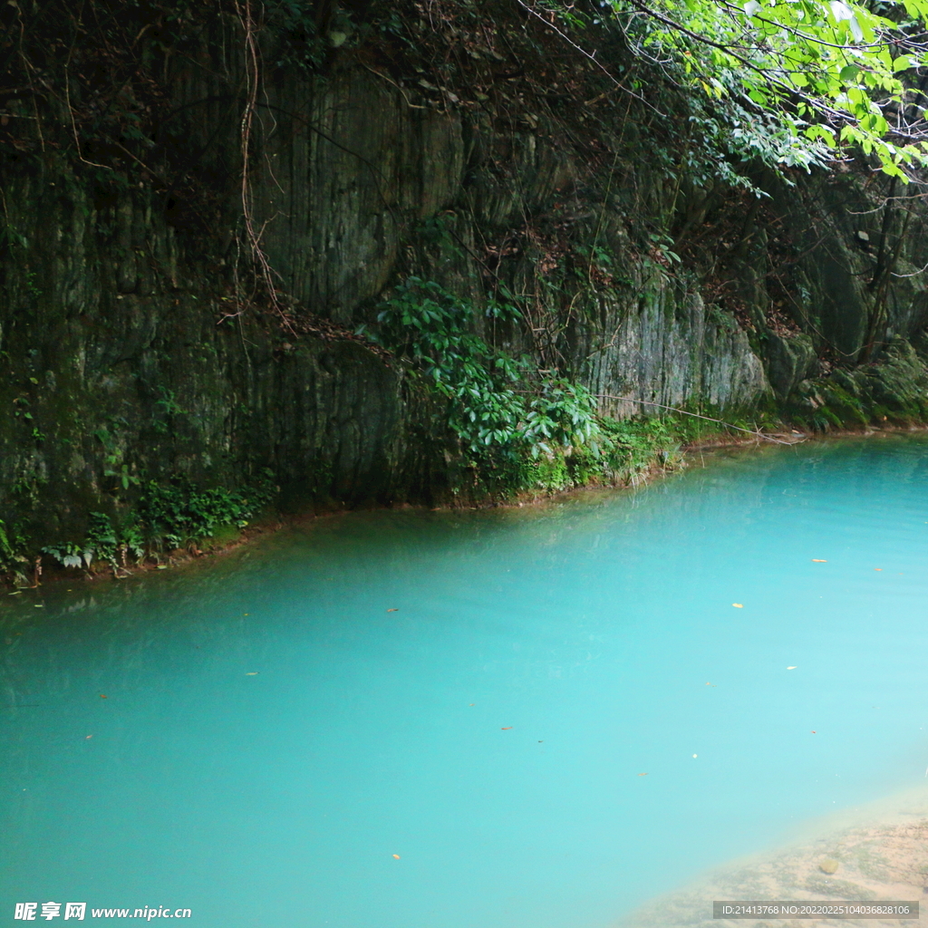 清新自然风景 