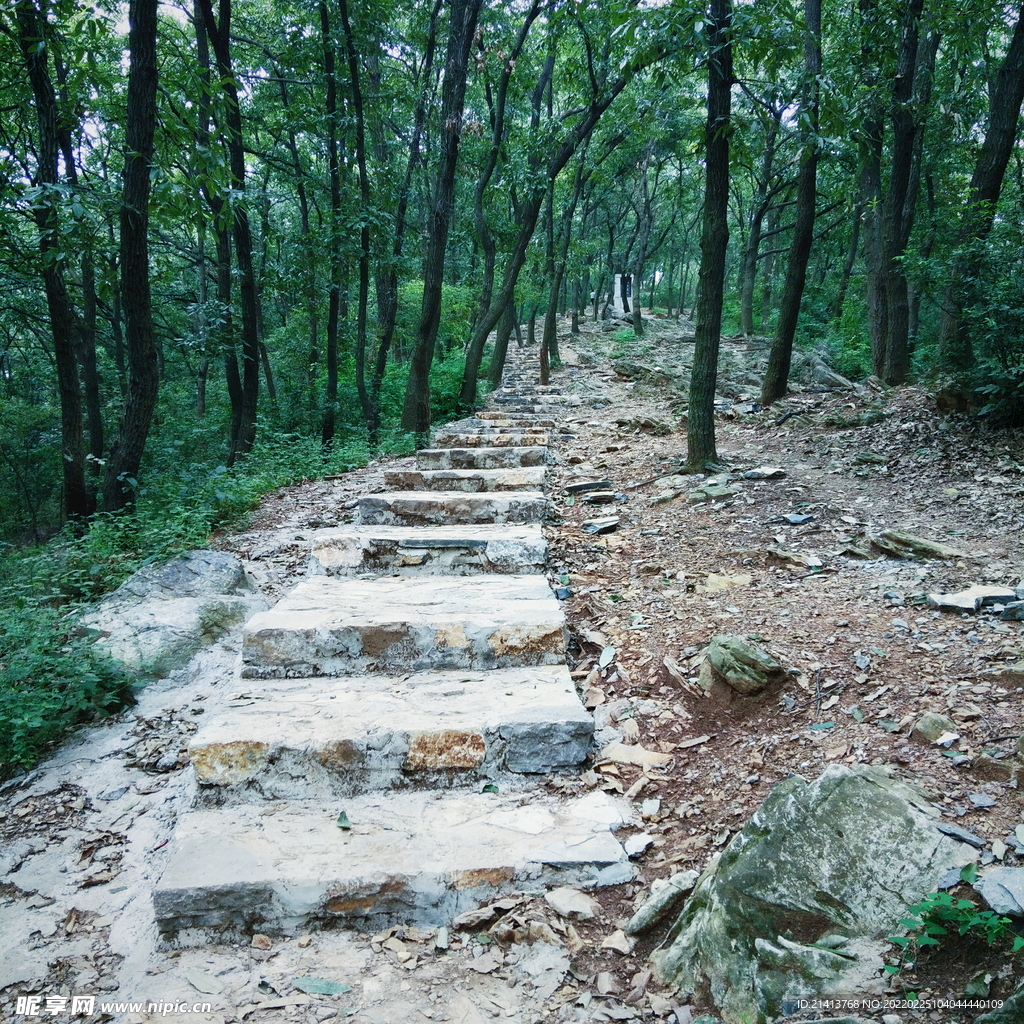 山路风景 
