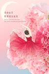 妇女节