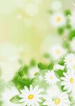 鲜花边框