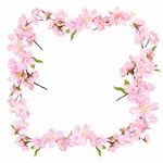 鲜花边框