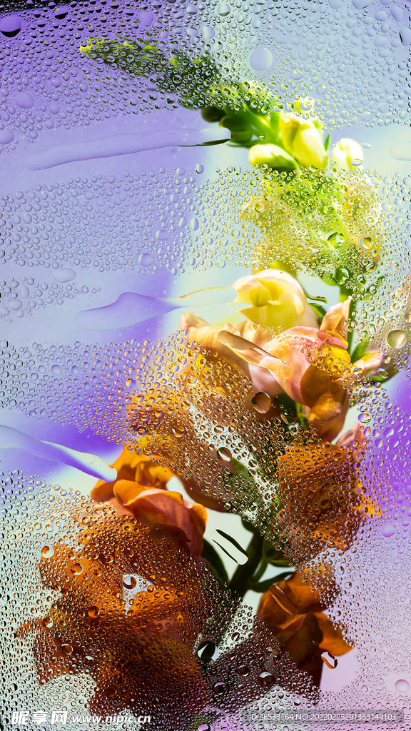 花水珠玻璃背景