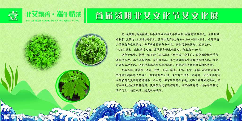 中国风艾草展板