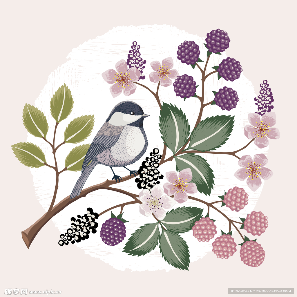 手绘花鸟