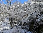 雪景