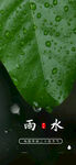雨水海报           