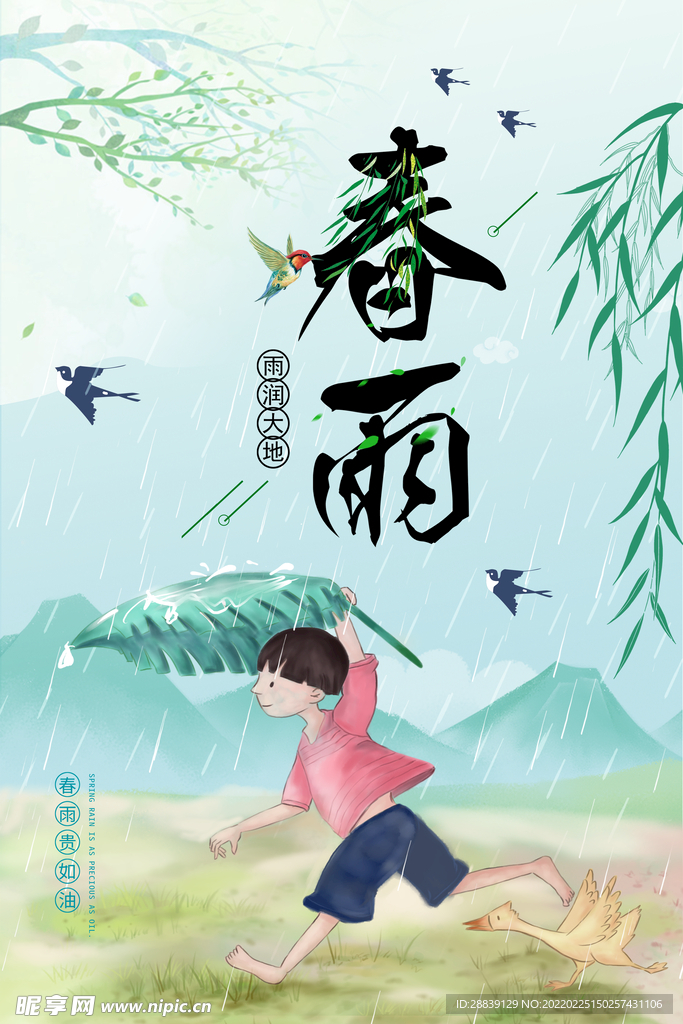 春雨 