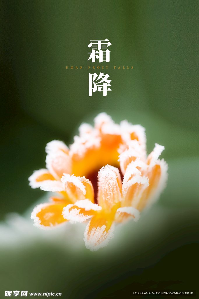霜降