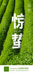 惊蛰