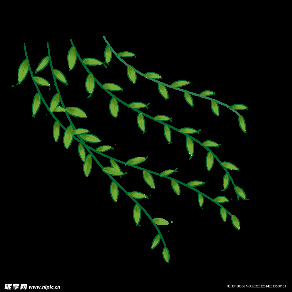 春天柳枝飘逸自然小清新