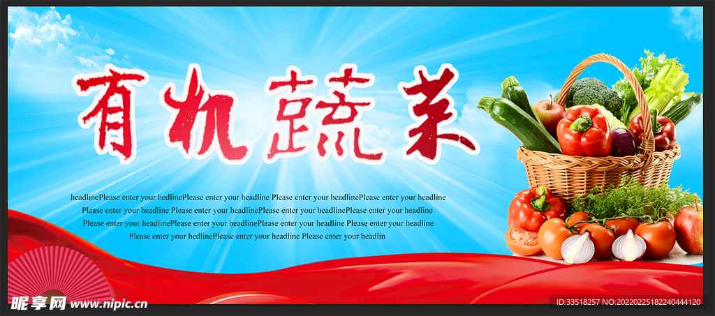 有机蔬菜