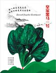 菠菜海报