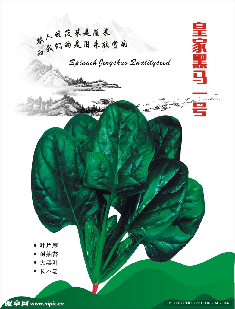菠菜海报