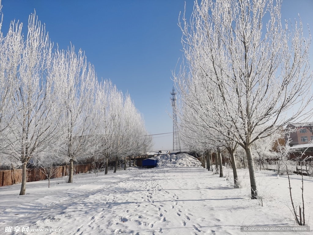 美丽雪景