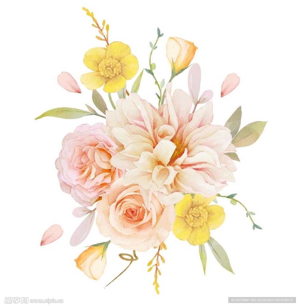 精美花卉牡丹花水彩插画