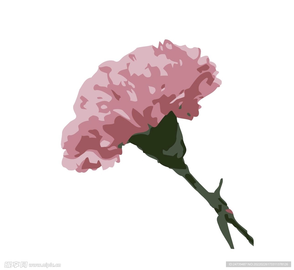 卡通手绘植物康乃馨竹PNG免抠