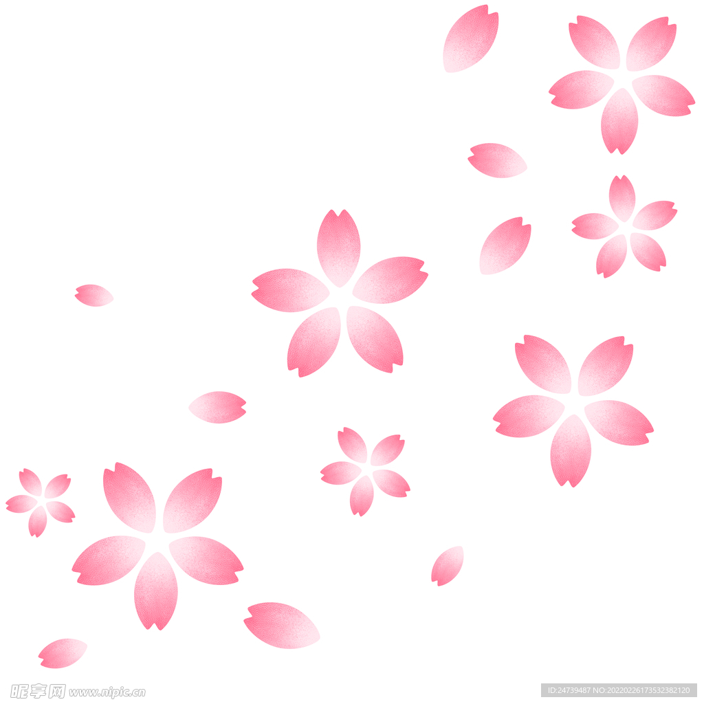 樱花飘落