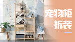宠物柜banner