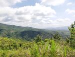 丘陵山地 绿色森林