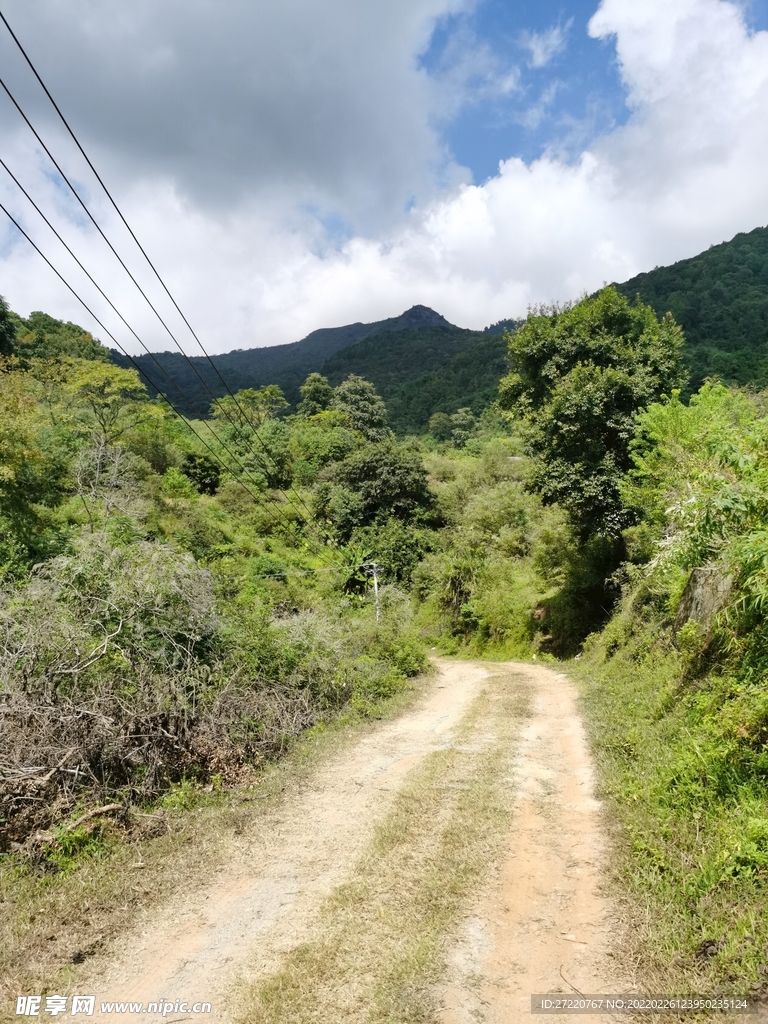 山地丘陵森林风貌