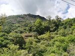 山地森林风光