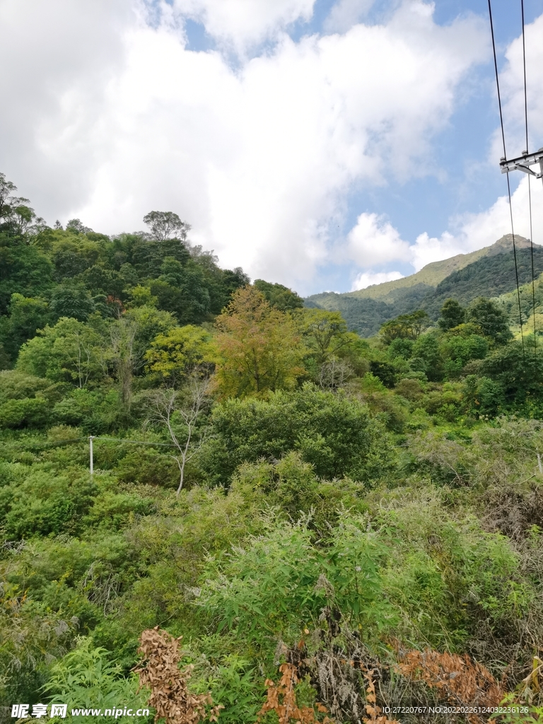 蓝天白云 树林风景