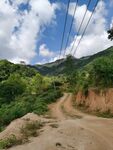 利用白云山地森林风景