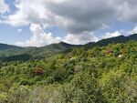 蓝天白云山地树林风貌