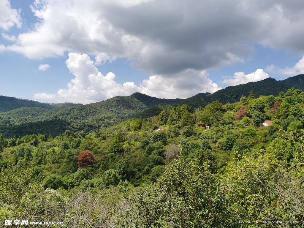 蓝天白云山地树林风貌