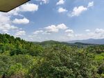 蓝天白云山地森林