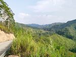 蓝天 村路 树林 丘陵