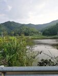 山地树林 蓝天 河流