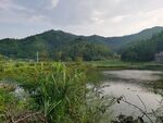 树林 蓝天 河流