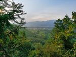 自然森林 农村田园风景