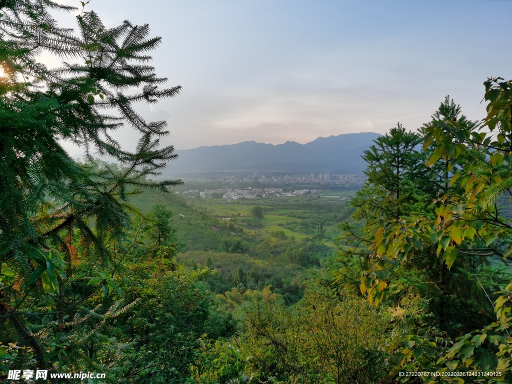 自然森林 农村田园风景