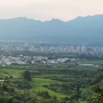 农村 森林