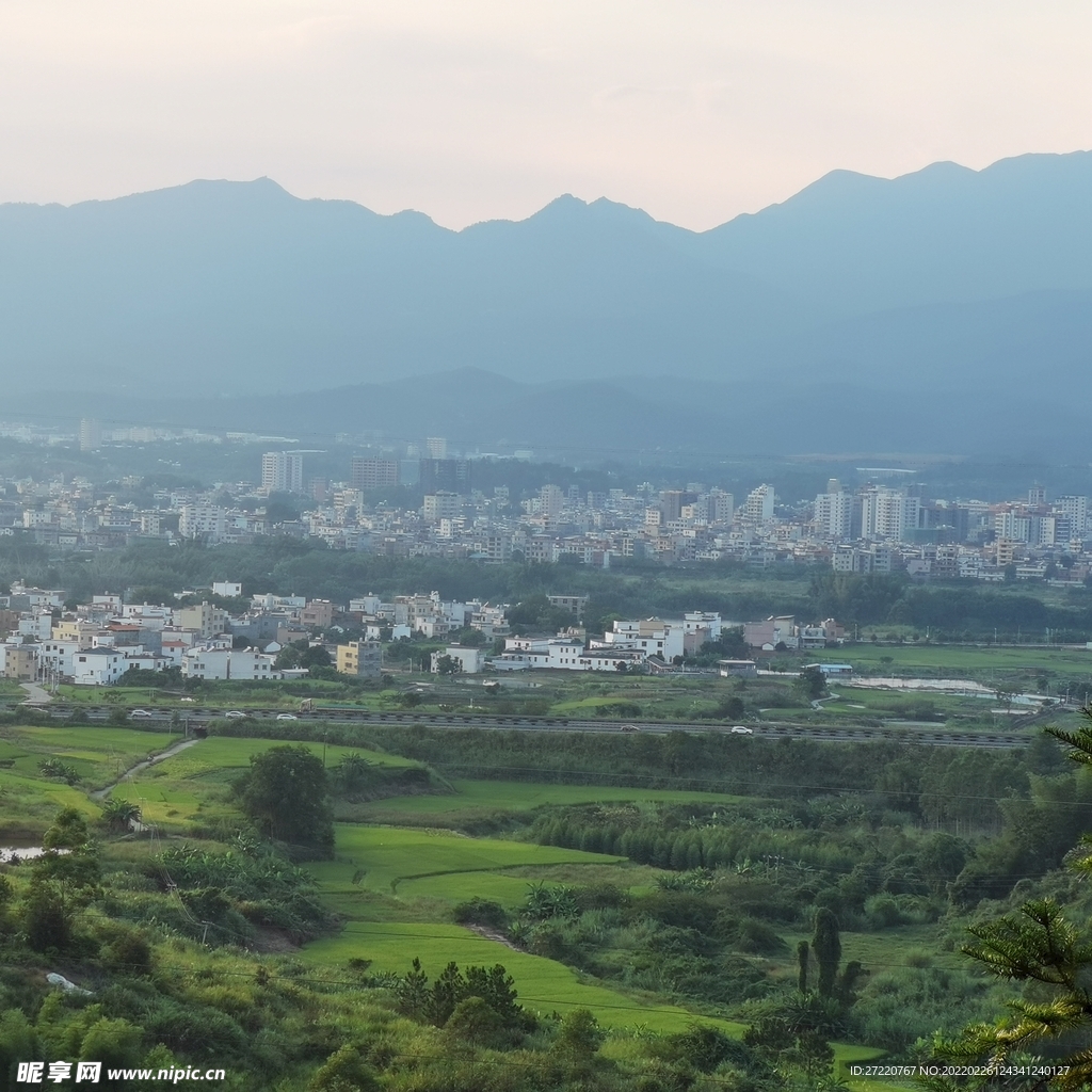 农村 森林