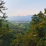 田园风光 自然森林