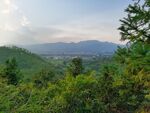 森林风景
