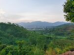 山地森林景观