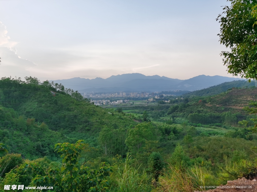 山地森林景观