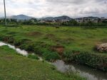 农村田园 草地
