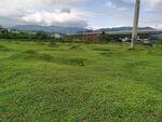 农村草地