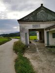 农村田园 水稻